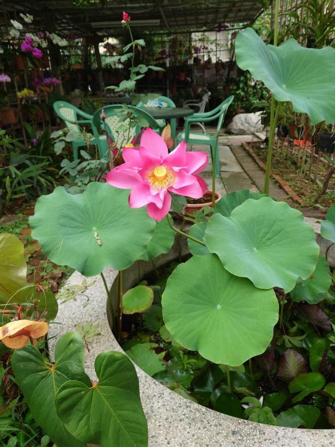 Garden Hostel Minxiong Zewnętrze zdjęcie