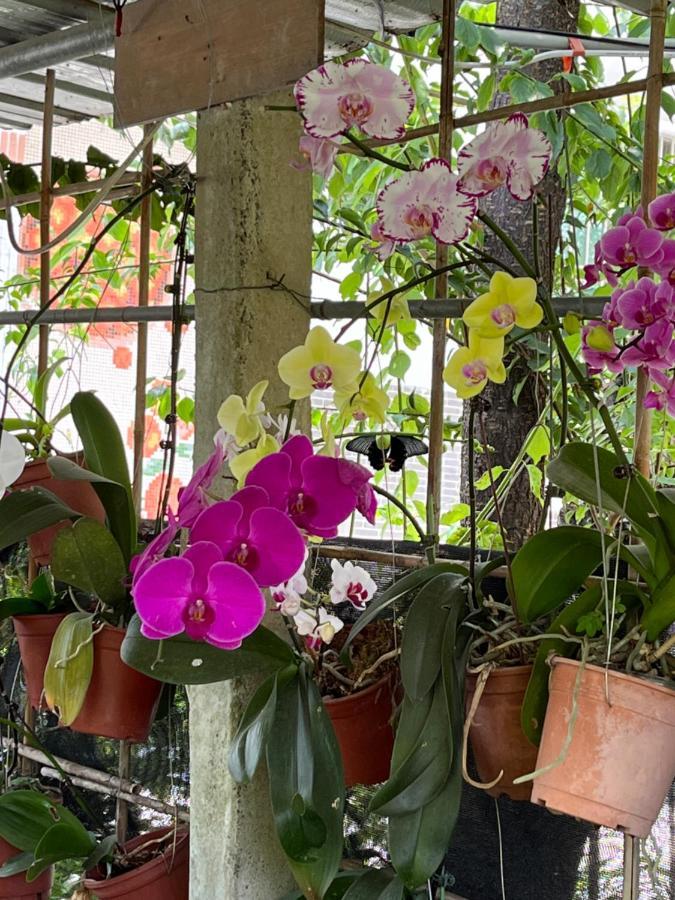 Garden Hostel Minxiong Zewnętrze zdjęcie