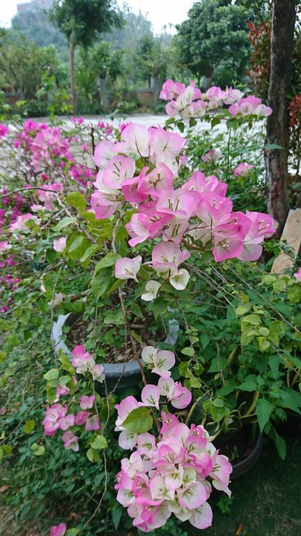 Garden Hostel Minxiong Zewnętrze zdjęcie