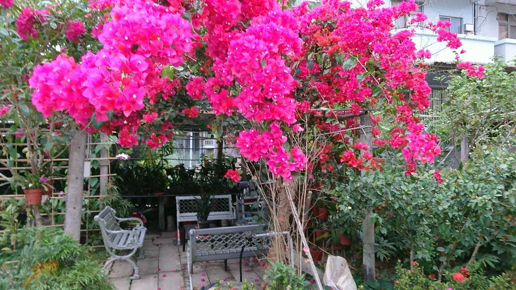 Garden Hostel Minxiong Zewnętrze zdjęcie
