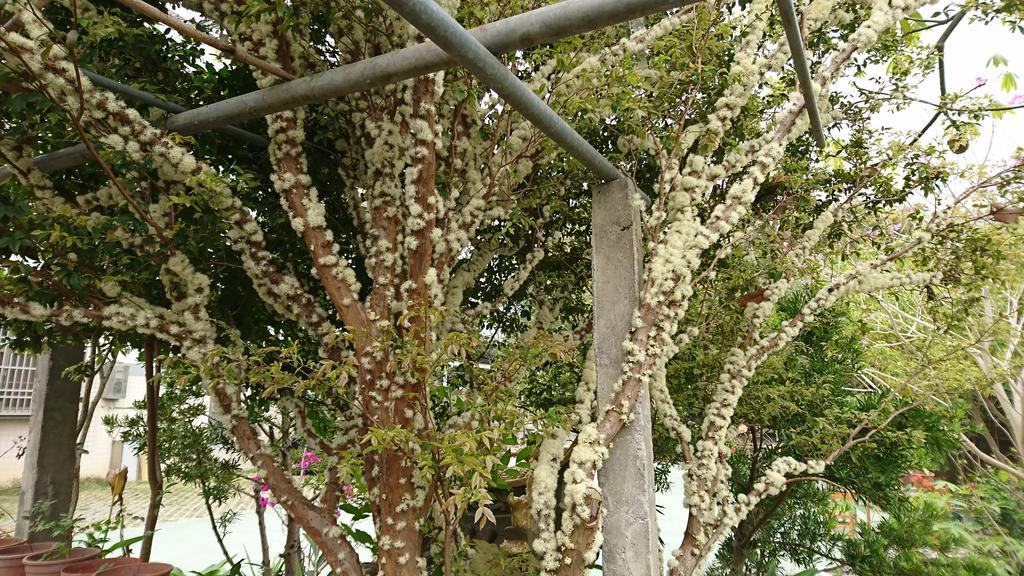 Garden Hostel Minxiong Zewnętrze zdjęcie