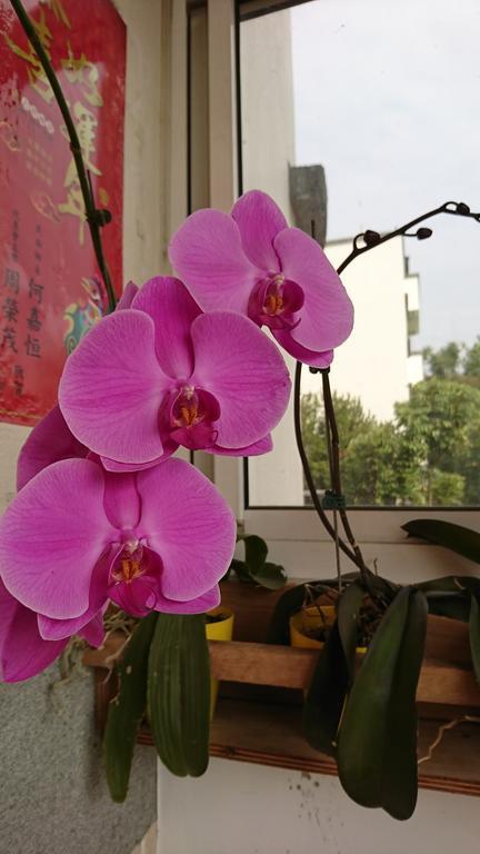 Garden Hostel Minxiong Zewnętrze zdjęcie