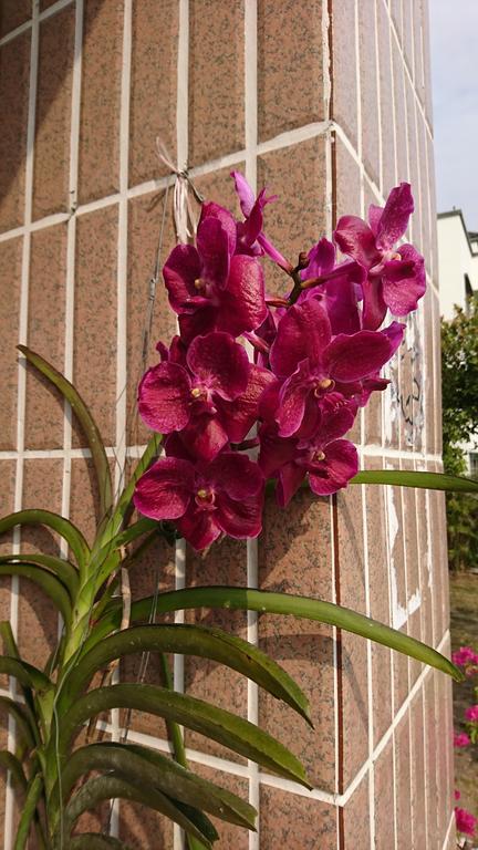 Garden Hostel Minxiong Zewnętrze zdjęcie